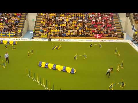 APPLAUSE Iwona Golab Large Jumping AWC 2018