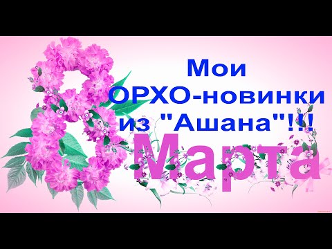 Поздравляю с 8 МАРТА!И мои суперские ОРХИДЕИ-НОВИНКИ из "Ашана"!