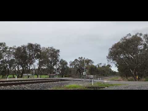 Melbourne-bound XPT at Erreys Rd level crossing, Violet Town, Victoria, Australia.