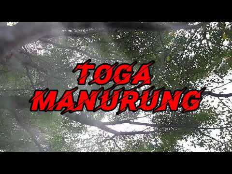 Toga Manurung Story WA
