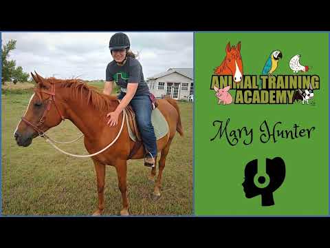 Mary Hunter - 3 misconceptions about reinforcement [bonus episode]