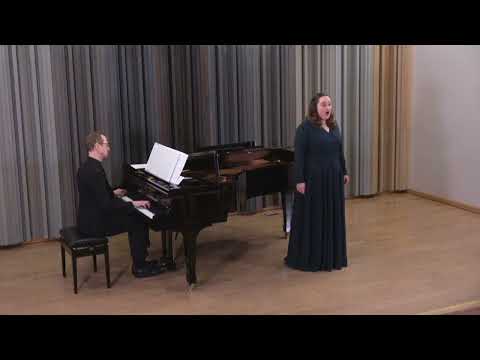 Pēteris Plakidis "Visu nakti zvaigznes raud"