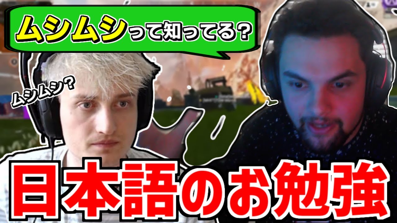 「ムシムシって知ってる？」【エーペックス/APEX】【ジェンバーテン】