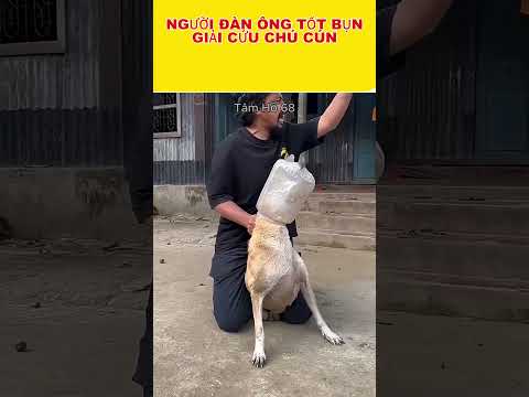 Người Đàn Ông Cứu Chú Cún Đáng Thương, Hành Động Nhân Văn Khiến Ai Cũng Xúc Động ❤️