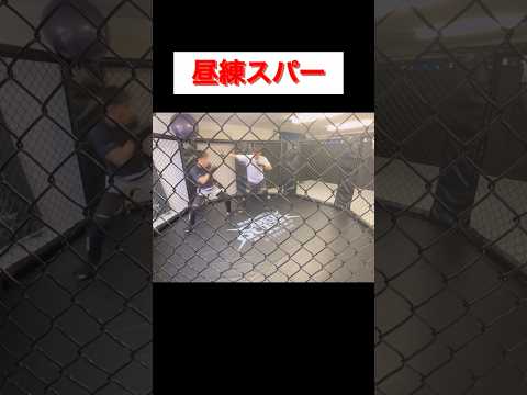 【毎週木曜昼練スパーダイジェスト】この日は打ち込み、MMAスパー、ドリルスパー、ミット打ち込み。 #グラップリング #grappling #jiujitsu #格闘技 #mma #スパーリング