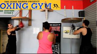 Jesse Harris Boxing Gym