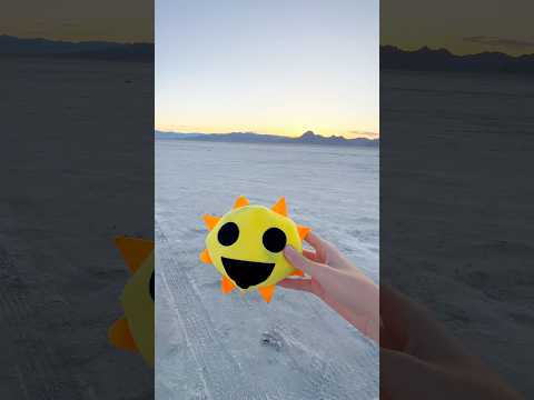 Mr Sun Flies ￼Away