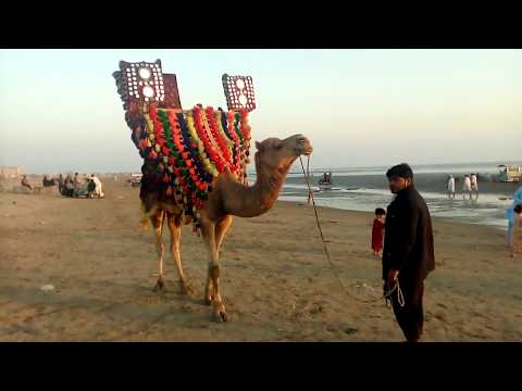 Karachi beach pay log chuttian Manny bachon ky St aya hoy hn or ount or gari k mza ly rhy hn