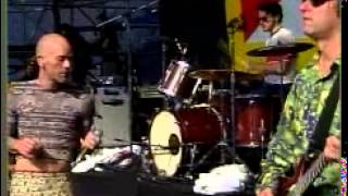 R.E.M. "Suspicion" live from the Tibetan Freedom Concert" 1998