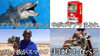 【閲覧注意】知らない方がいい雑学はやはり知るべきではない【総集編】