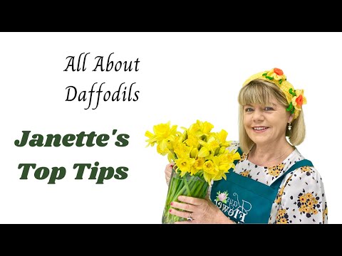 How to get daffodils into floral foam easily