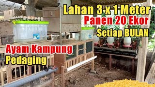 Download lagu HOW TO MAKE A FREE-COMMERCIAL CHICKEN COOP ON A NARROW LAND mp3