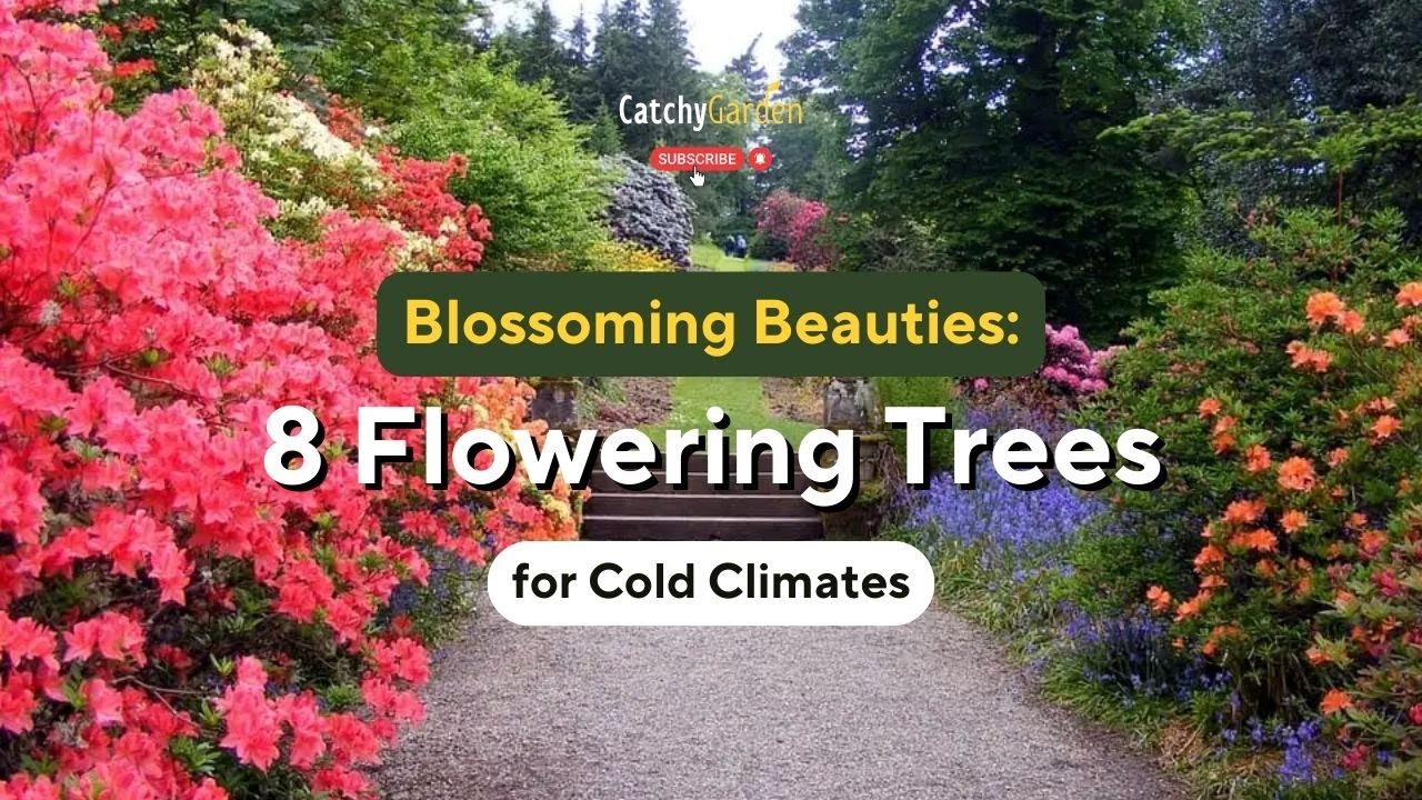 Blossoming Beauties: The Top 8 Flowering Trees for Cold Climates 🌸🌳🌺