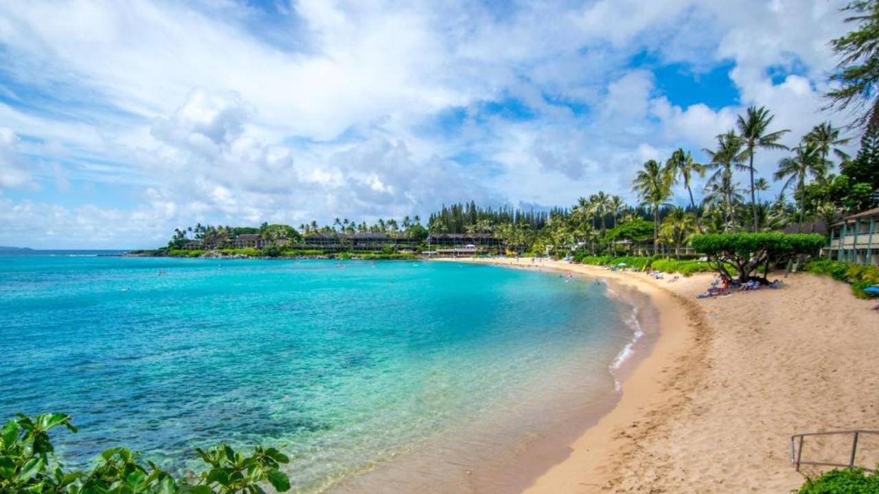 Napili Kai Beach Resort Live Cam | Maui Beach Cam