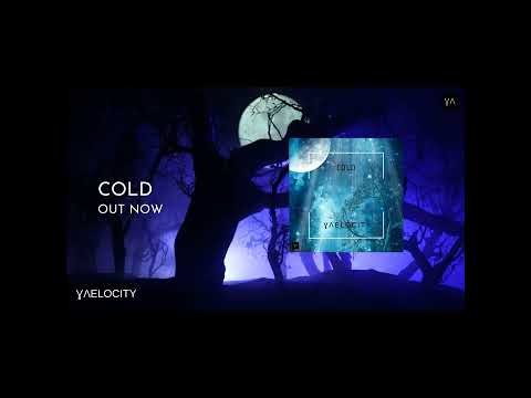Vaelocity - Cold