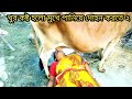 বৌদির অনেক কষ্টে সম্পূর্ণ মুখে পানিয�