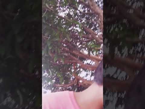 Chrisdon Inzane - AATB (Live Session) (Prod.Versee Beats)