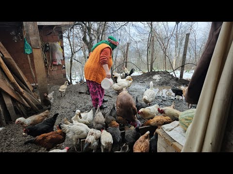 THEY'RE KEEPING IT A SECRET, BUT ONE DAY THE TRUTH WILL COME OUT‼️ FRIED DOUGH 🔥