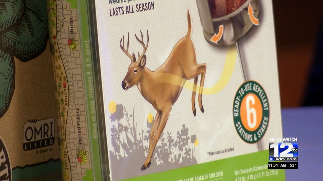 In the Garden with Grange Co-op:  deer deterrents to protect yards