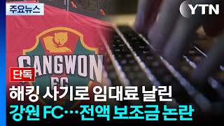 [단독] 해킹 사기로 용병 임대료 날린 강원 FC...전액 보조금 논란 / YTN