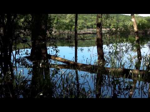 Lago di Doberdò (un video da ascoltare)