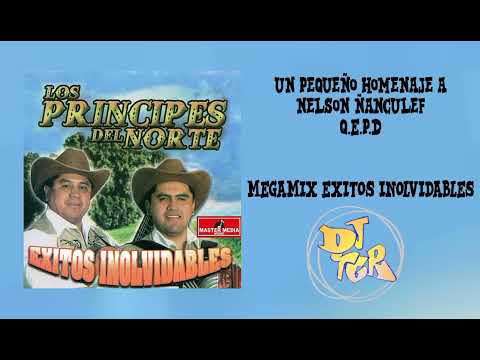 LOS PRINCIPES DEL NORTE  MIX HOMENAJE [ A  NELSON ÑANCULEF] (DJTGR)