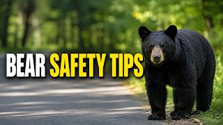 Bear Safety in Great Smoky Mountains: Tennessee Tourist Tips