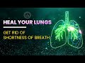 Heal Your Lungs - Get Rid Of Shortness Of Breath, Coughing, Allergies, Infections & Fatigue - 528 Hz