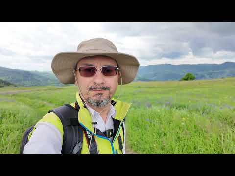 Bisoca - Băltăgari