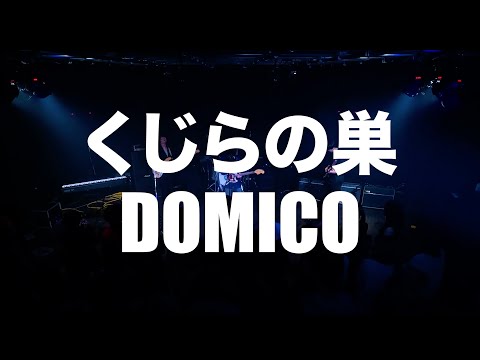 ドミコ/くじらの巣【京都精華大学軽音楽部】