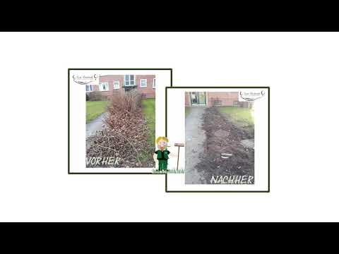 vorher nachher Gartenumgestaltung  - Diederich Galabau