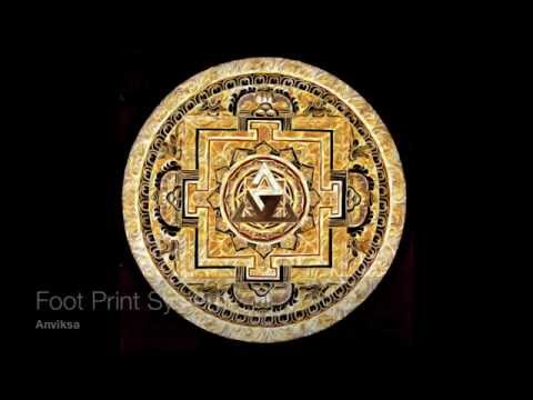 Foot Print System - Anviksa