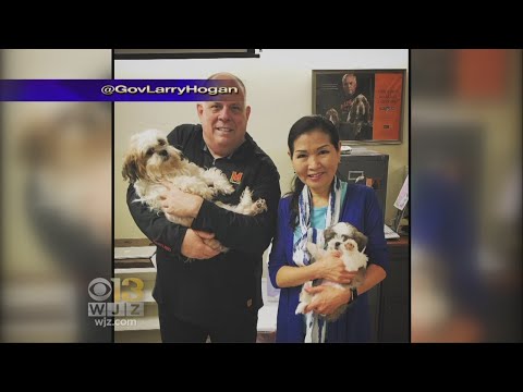 Gov. Hogan, First Lady Adopt 2 New Dogs From BARCS