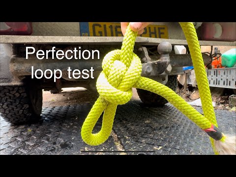 Perfection loop vs Bowline