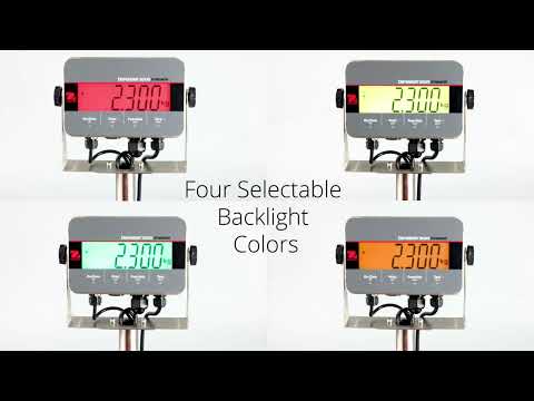 4 kolory wyświetlacza w wagach OHAUS z serii Defender 3000