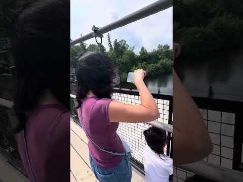 Beautiful|Fantastic|Amazing|Lovely|White|Waterfall|Montmorency|Quebec|City|Quebec|Canada🍁🇨🇦