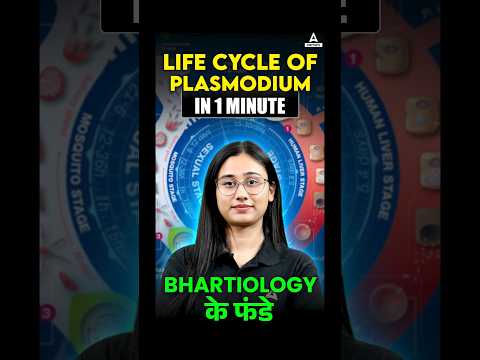 The Complete Life Cycle of Plasmodium #plasmodiumlifecycle #malaria #malariaparasite #humanparasite