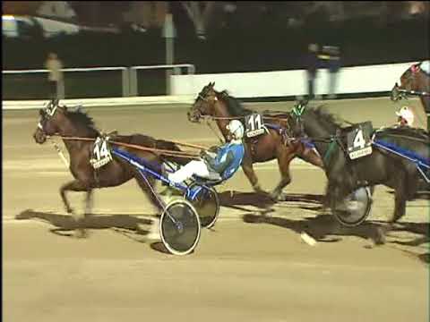 Trotto 22/12/2017 - 7ª corsa - TRIS