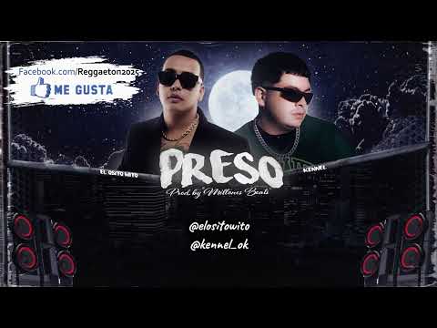 PRESO - Osito Wito, Kennel, @millonesbeats 