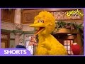 Elmo Gets A Surprise Visit From Big Bird The Furchester Hotel CBeebies