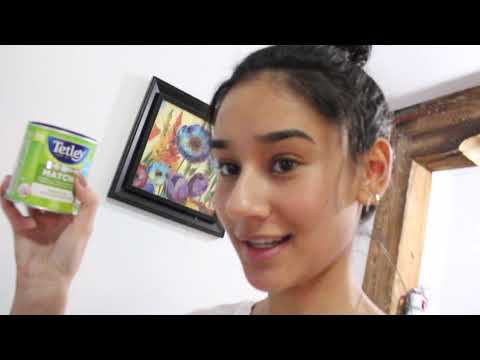 ANOTHER quarantine vlog!!