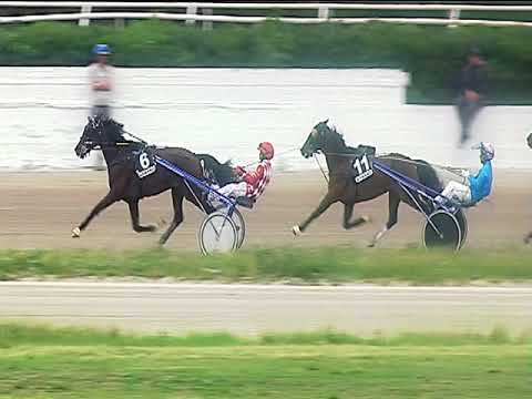 Trotto 01/06/2019 - 7ª corsa