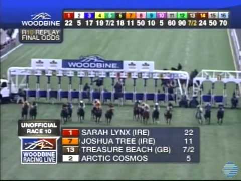 2011 Canadian International Stakes