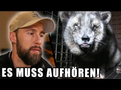 Mir kommen die Tränen.. BEENDET DEN WAHNSINN der Pelzindustrie | Robert Marc Lehmann