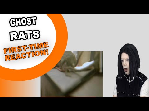 TENOR REACTS TO GHOST - RATS (OFFICIAL MUSIC VIDEO)