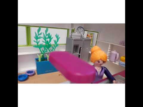 Ein Tag am See Endet im Chaos !?