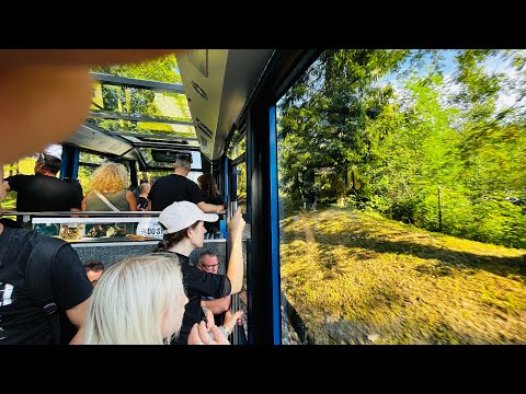 PATOLOGIA NA GUBAŁÓWCE😵‍💫😳OGŁOSZENIE PARAFIALNE