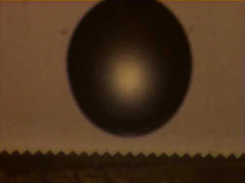 Water Droplet Bouncing on a Superhydrophobic Surface