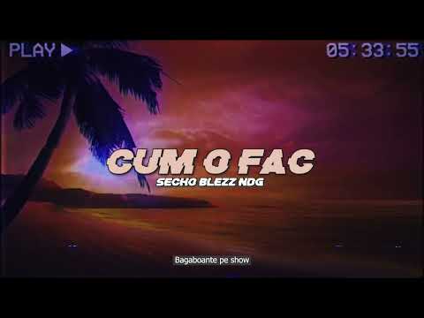 SECHO X BLEZZ X NDG - "Cum o fac" 🌴