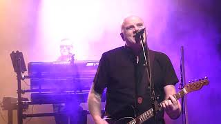 The Stranglers - Get a Grip on Yourself